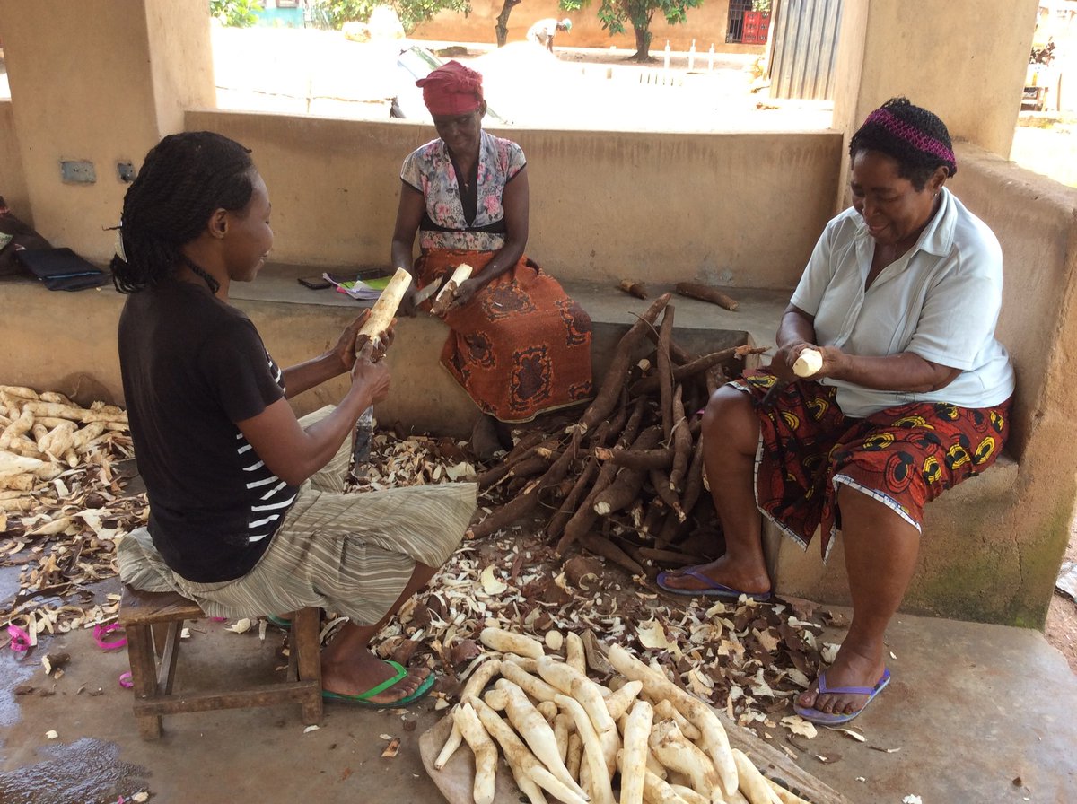 nrcri_umudike's tweet photo. Shout out to all the indomitable #rural women who play amazing roles toward ensuring #foodsecurity in Nigeria.
Congratulations to you all on this great stride. 
Do not rest on your oars and keep soaring!
You are simply awesome
@gatesfoundation

#InternationalDayOfRuralWomen2020 https://t.co/JvupwIn1w4