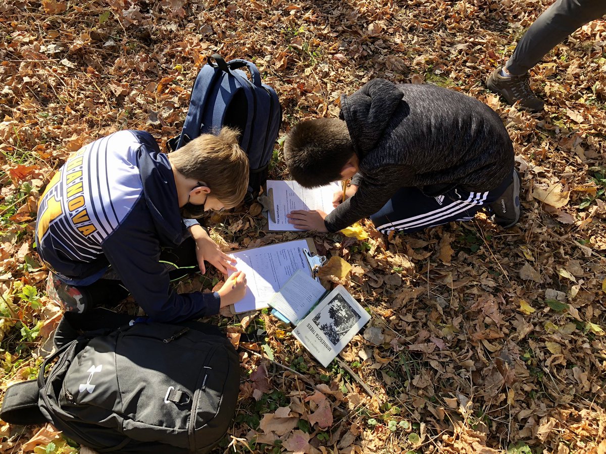 hintzePLS's tweet photo. Identified trees with dichotomous keys this week! Very good practice with reading skills and inferring! Also some great big scientific vocab words! #TeachOutdoorsMinnesota https://t.co/DkGiZaFg5D