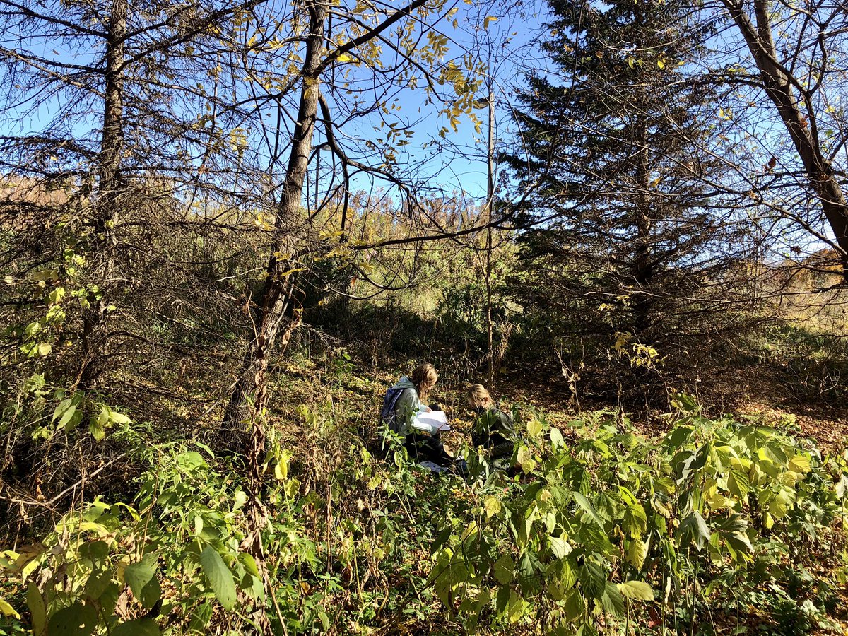 hintzePLS's tweet photo. Identified trees with dichotomous keys this week! Very good practice with reading skills and inferring! Also some great big scientific vocab words! #TeachOutdoorsMinnesota https://t.co/DkGiZaFg5D
