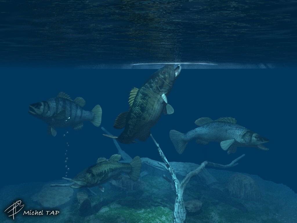katanarods's tweet photo. Blender and Vue 3D FISHING art https://t.co/AfilwzzJDu