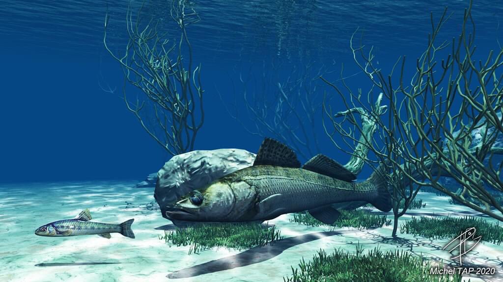 katanarods's tweet photo. Blender and Vue 3D FISHING art https://t.co/LOLKKqVyJ9