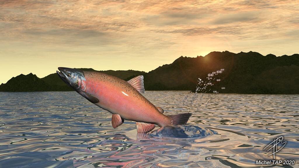 katanarods's tweet photo. Blender and Vue 3D FISHING art https://t.co/rpVYPaNVFJ