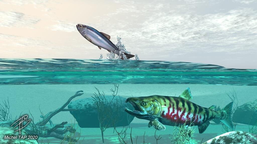 katanarods's tweet photo. Blender and Vue 3D FISHING art https://t.co/rpVYPaNVFJ
