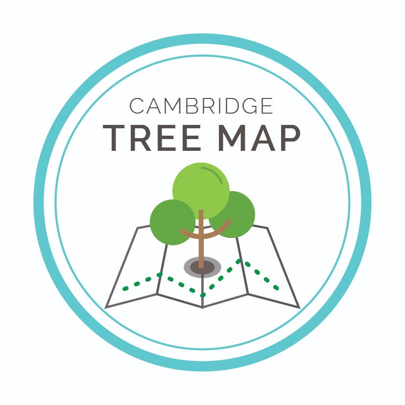 CamCanopyProj's tweet photo. Help us map #Cambridge's #Trees! Plot trees in your garden or other private land using the @Curioxyz app. A complete #CambridgeTreeMap of our #UrbanForest will help us to manage our trees better and quantify the #EcosystemServices they provided. Read more: https://t.co/Wl1zjkC2Mo https://t.co/b5LCAxMyGw