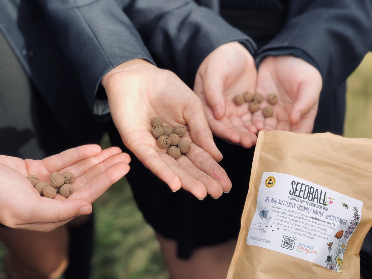 BrockhillFarm's tweet photo. Our year 8 GO students are creating a wildflower meadow as a corridor for bees and butterflies from Saltwood to the Country Park inspired by #APlanetForUsAll We used @seed_ball thank you for the freebies! #wildflower #greatoutdoors #beecorridor #butterflycorridor @LEAF_Education https://t.co/WLrxoDsmie