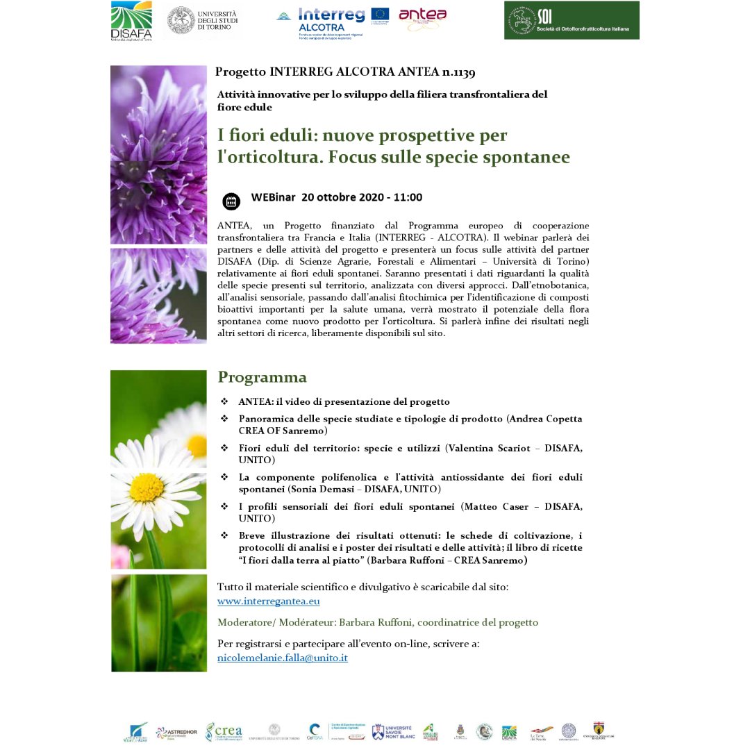 interregantea's tweet photo. 💻 #Webinar 20 ottobre ore 11.00: 𝐈 𝐟𝐢𝐨𝐫𝐢 𝐞𝐝𝐮𝐥𝐢: 𝐧𝐮𝐨𝐯𝐞 𝐩𝐫𝐨𝐬𝐩𝐞𝐭𝐭𝐢𝐯𝐞 𝐩𝐞𝐫 𝐥'𝐨𝐫𝐭𝐢𝐜𝐨𝐥𝐭𝐮𝐫𝐚. 𝐅𝐨𝐜𝐮𝐬 𝐬𝐮𝐥𝐥𝐞 𝐬𝐩𝐞𝐜𝐢𝐞 𝐬𝐩𝐨𝐧𝐭𝐚𝐧𝐞𝐞.
Pe registrarsi partecipare all'evento scrivere a: nicolemelanie.falla@unito.it  
@InterregALCOTRA https://t.co/6JYMMcZUmp