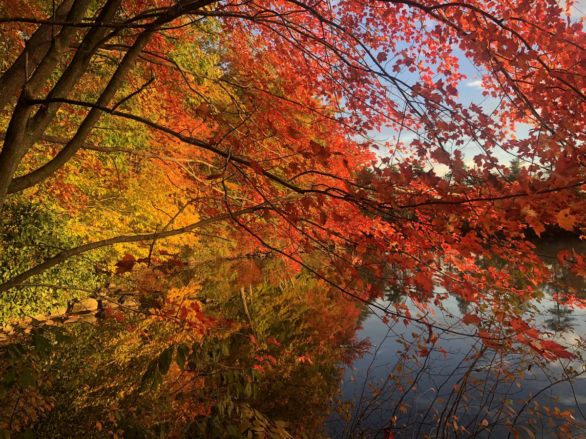 Jeb Bradley tweet media