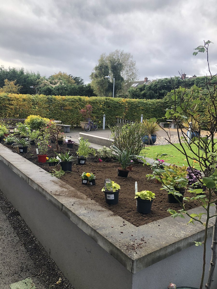 Vandana Iqbal (@iqbalvandana) on Twitter photo Clonskeagh Nursing Unit is developing sensory garden <a href="/abraham_annamma/">annamma abraham</a> <a href="/EdedeQueen/">Queen Edede</a> <a href="/MalouAlvarez3/">Malou Alvarez</a> <a href="/abraham_annamma/">annamma abraham</a> <a href="/FiHammond/">Fiona Hammond</a> <a href="/MeaningfulCareM/">Meaningful Care Matters</a> Clonskeagh Nursing Unit is developing sensory garden <a href="/abraham_annamma/">annamma abraham</a> <a href="/EdedeQueen/">Queen Edede</a> <a href="/MalouAlvarez3/">Malou Alvarez</a> <a href="/abraham_annamma/">annamma abraham</a> <a href="/FiHammond/">Fiona Hammond</a> <a href="/MeaningfulCareM/">Meaningful Care Matters</a>