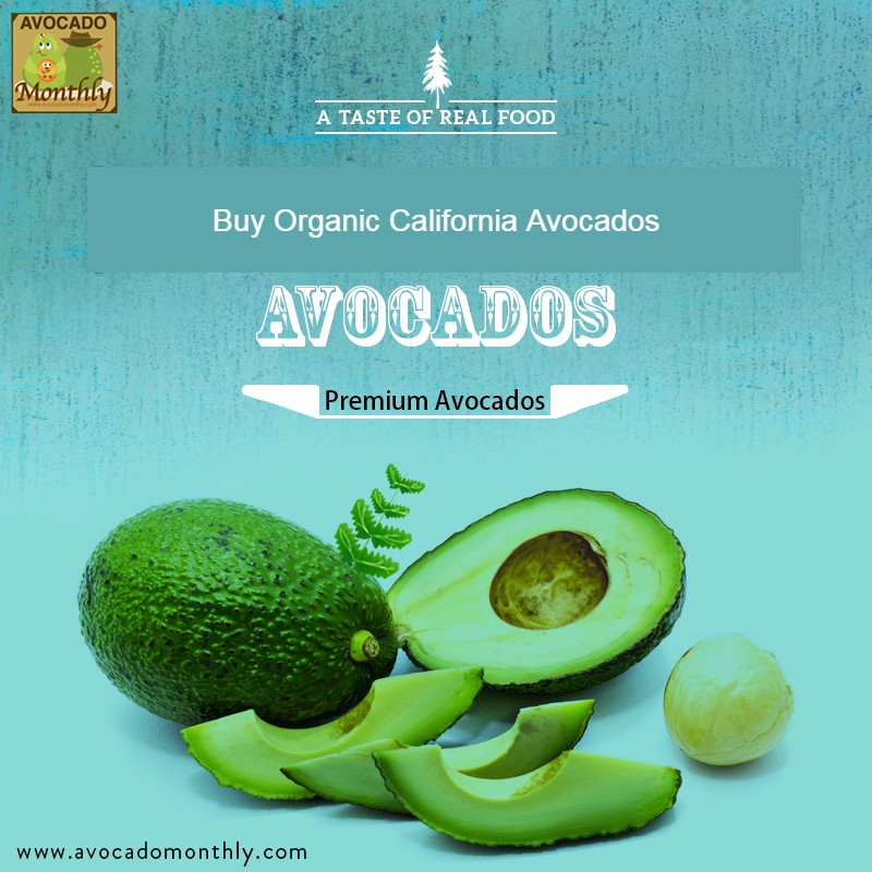 Avocado Monthly (@AvocadoMonthly) / Posts / X