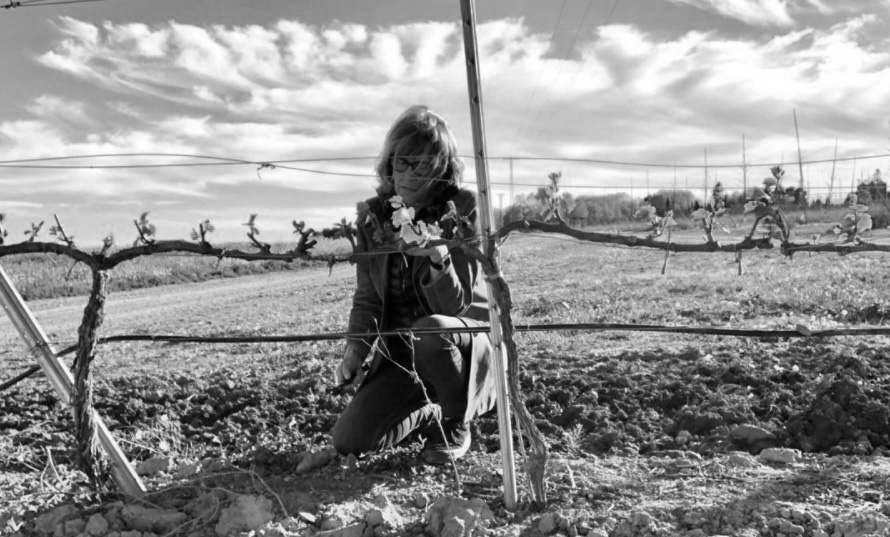 Asociación de Vinos de la Tierra de Aragón tweet media