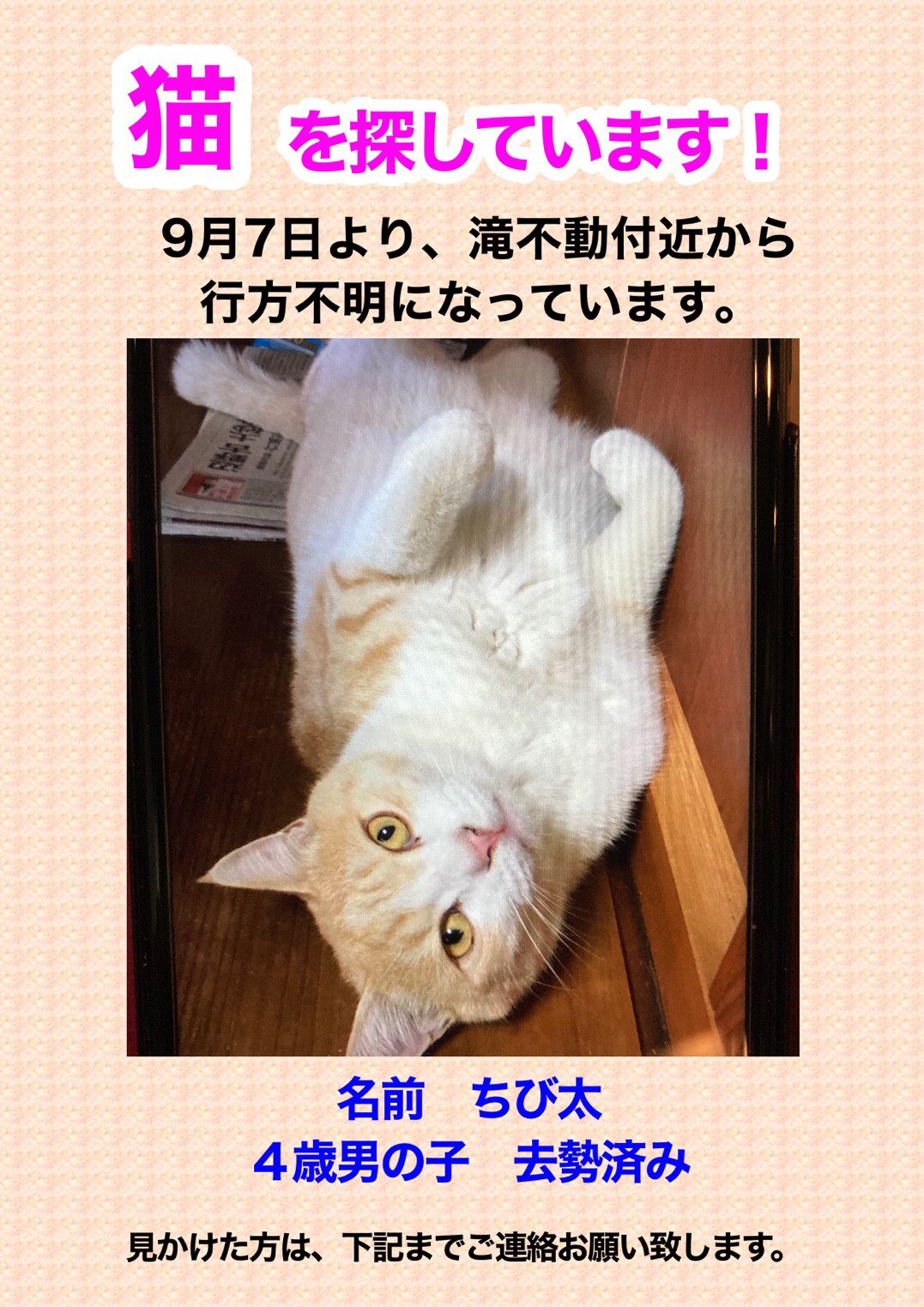 チビ様、連絡用 大きかっ