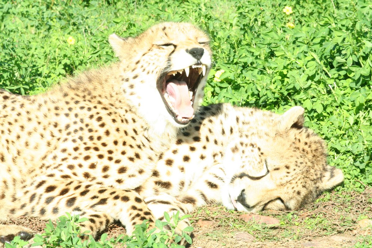 Karin Mücke tweet media