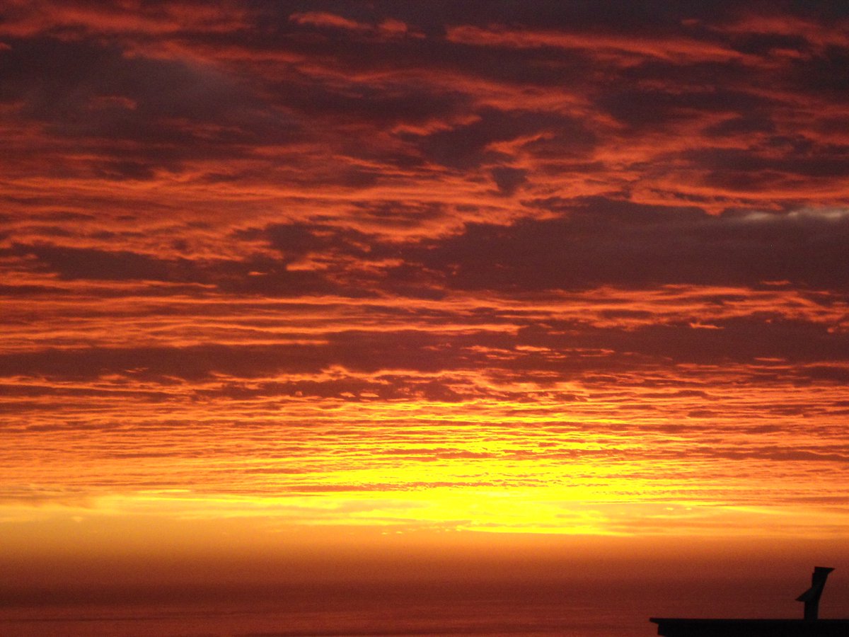 Karin Mücke tweet media