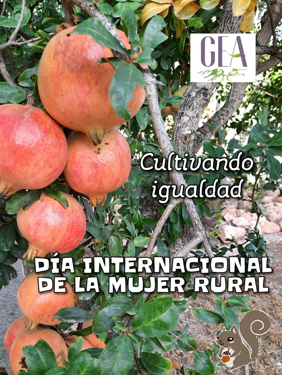 Gea De Mujeres (@geamujeres) on Twitter photo 