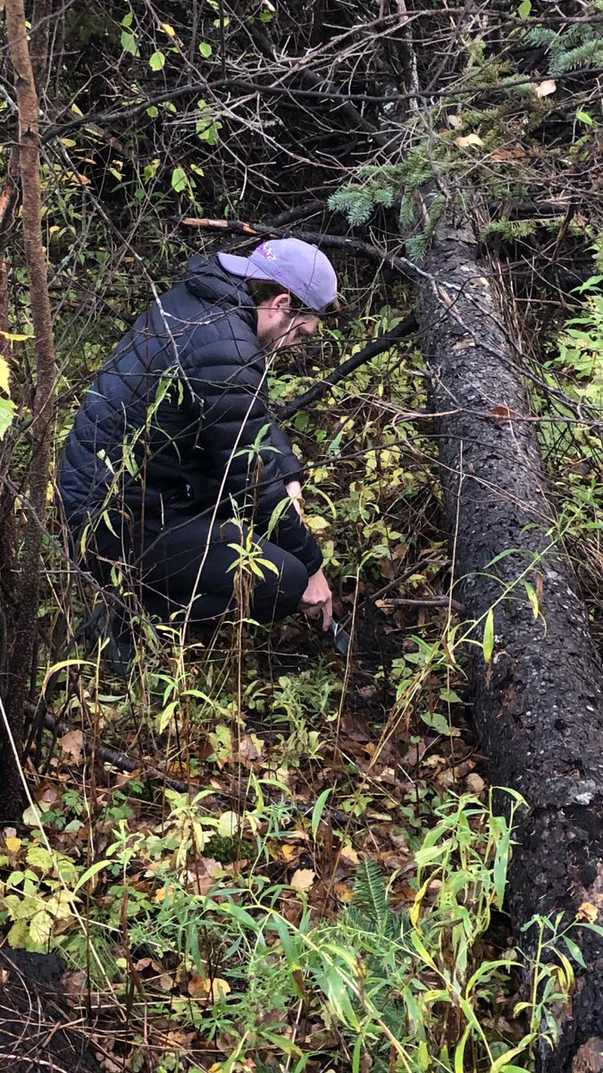 JackMcBeath's tweet photo. Lovely Morning to learn how to take a brown in the woods and properly LnT #everyonepoops @asforan https://t.co/RBBFKz5tX6