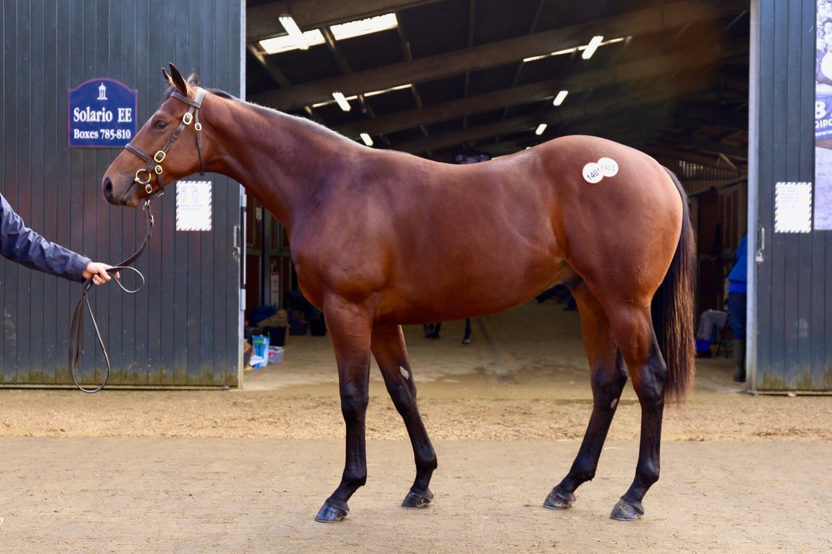 Doyle Racing tweet media