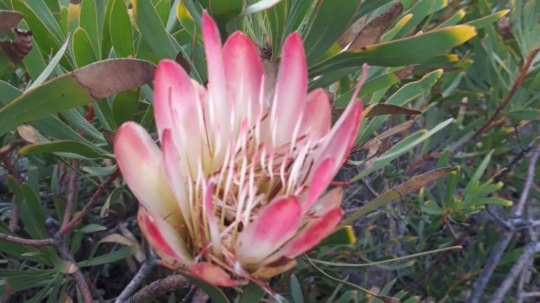 Karin Mücke tweet media