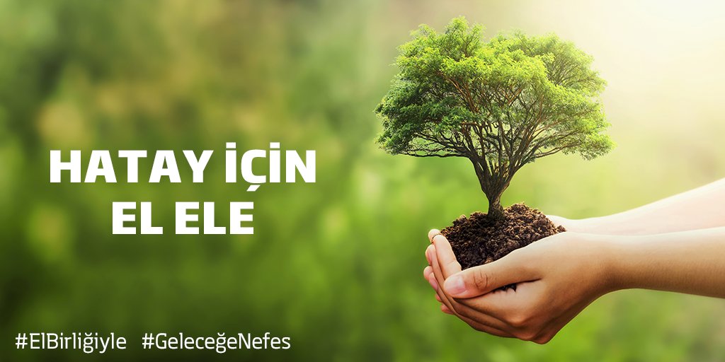 Hatay’da meydana gelen yangında zarar gören ormanlarımızı yeniden yeşertmek için Türkiye İş Bankası ailesi olarak çalışan ve emeklilerimiz adına 44.810 adet fidan bağışlıyoruz. Yapı Kredi Bankası’nı @yapikredi kampanyaya katılmaya davet ediyoruz. #GeleceğeNefes https://t.co/iSJITjRQ18