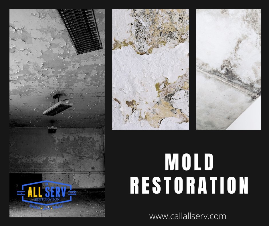 Mold spores are tiny organisms that float unseen through the air. One of our experts will inspect your property to help identify the cause of the problems

Visit us >> callallserv.com

#moldremoval #moldremediation #mold #restoration #propertydamage #flooddamage
