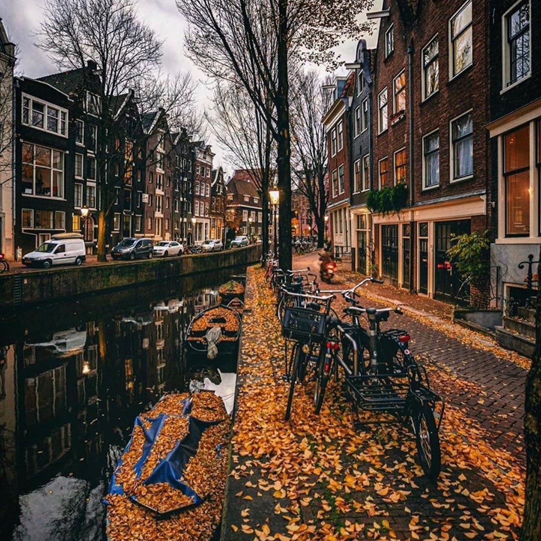 windmilladvent1's tweet image. Who wouldn’t fall for you? 🧡

#amsterdam #autumn #autumninamsterdam #fallseason #autumncanal #dutch #thenetherlands #loveamsterdam #amsterdamcanals #adam #loveautumn #photography #autumnphotography