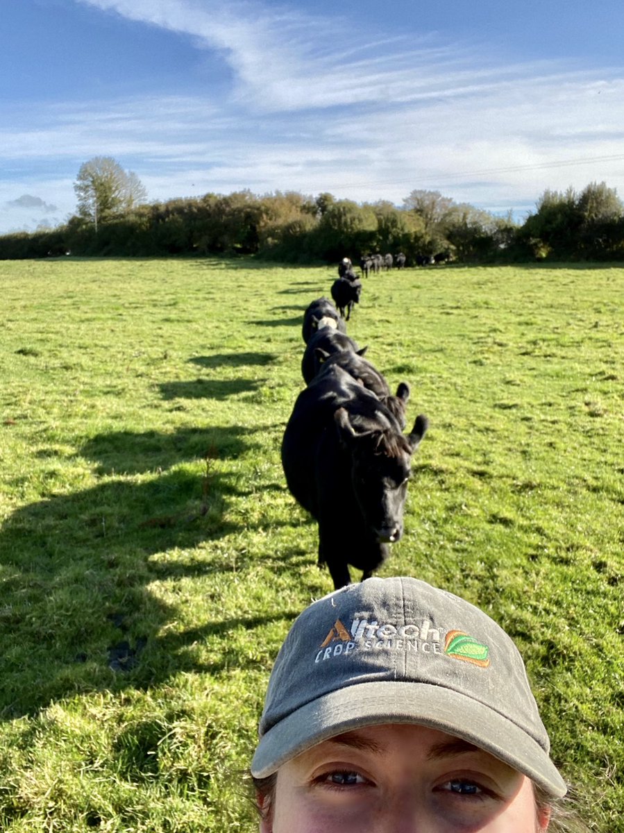 Single file and 2 metres apart please ladies