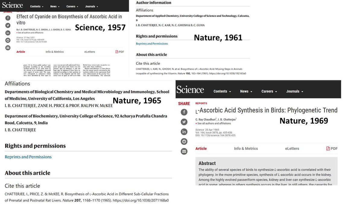 Fundamental work on Vitamin C biosynthesis was carried out by BC Guha and then his student IB Chatterjee at Calcutta University.