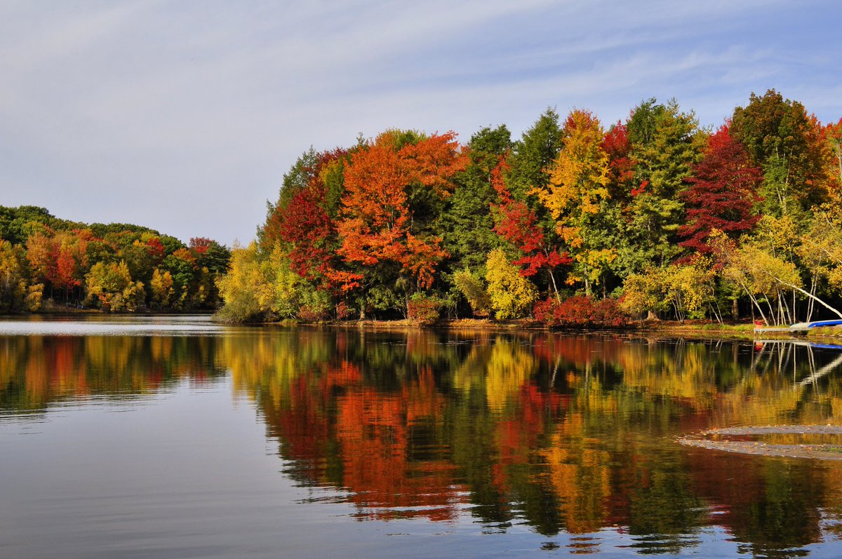 Sarah O'Fee tweet media