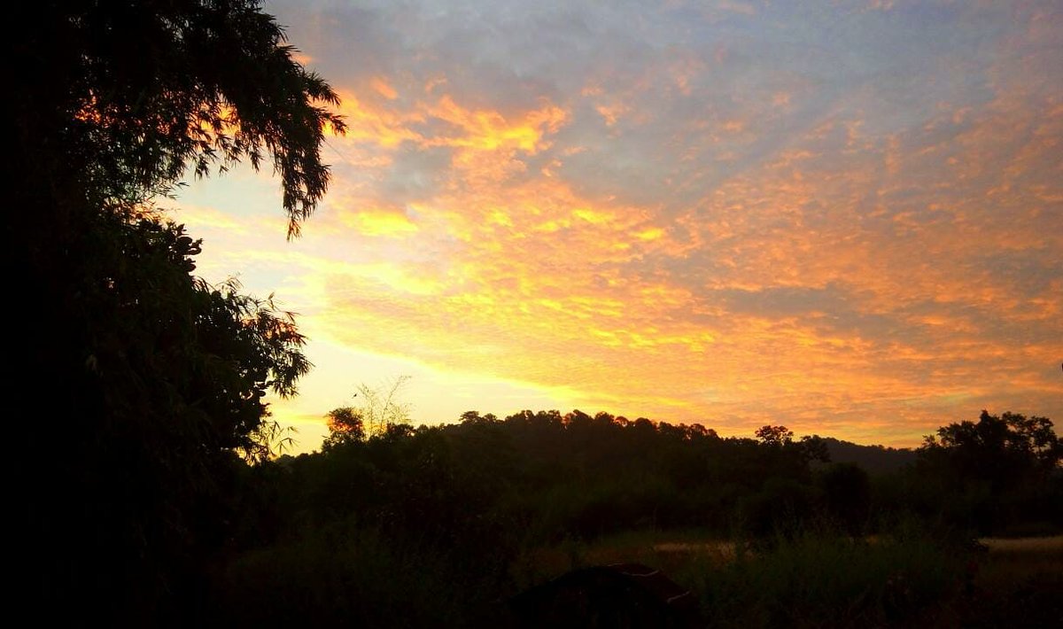 resort_tiger's tweet photo. Faith is the bird that feels the light when the dawn is still dark...

#Bandhavgarh #wildlife #thursdaymorning #mptourism #incredibleindia  #birdwatchers #autumn #tiger

Book your stay with us:
Call: 9340561967/7909613708/7440524463
E-mail: tigervalleyresortbandhavgarh@gmail.com https://t.co/q60JSKo50i