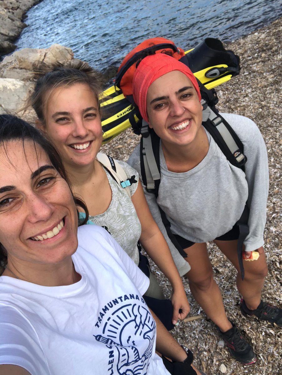 INVHALI Project tweet media