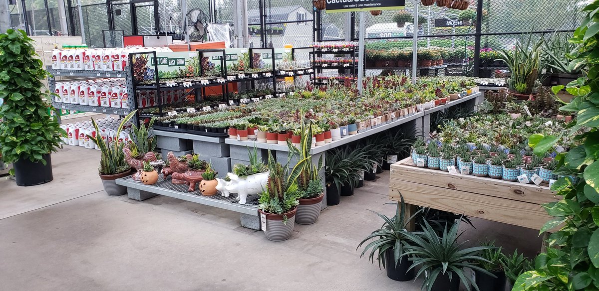 Live goods looking tight this morning! @Carell_R <a href="/freddyplants/">Fplants</a> <a href="/ManuelYumarcus/">Yumarcus Manuel</a> <a href="/Homedepot0157/">McDonough Home Depot</a> <a href="/THD0157/">McDonough Home Depot</a>