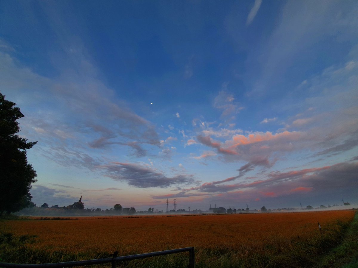 franco250889's tweet photo. The other day walking around the fields.
https://t.co/cRojtsPHw5
#fields
#walkingarround
#sunrise
#alba
#amanecer
#空 https://t.co/CoSFZVnfNo