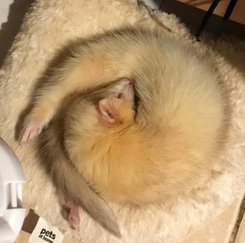 Emma Minns tweet media