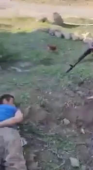 8731's tweet photo. #Azerbaijani coward soldiers murdered two captured #Armenians. This is the people, this is the army, this is the government of #Azerbaijan who expect us to give them #Artsakh's security. Never! #Armenia is the only guarantee  of #life and #safety of people of #Artsakh. https://t.co/ArF8Kydnaa
