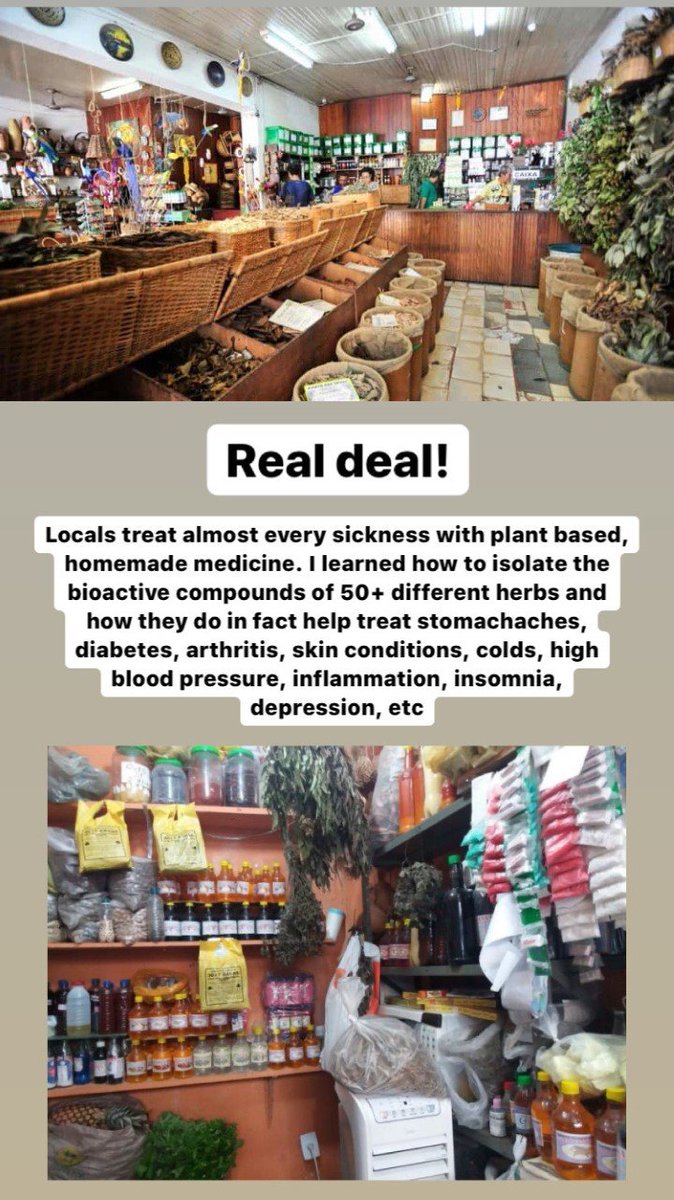 PBIOWriting's tweet photo. Natural medicine: the real deal or placebo? This summer Isa Arantes had the opportunity to work with wonderful natural healers in Manaus, Brazil. Check out the photos for more info! #plantbiologyinternship #PBIOWriting https://t.co/EmTwe9PPoc