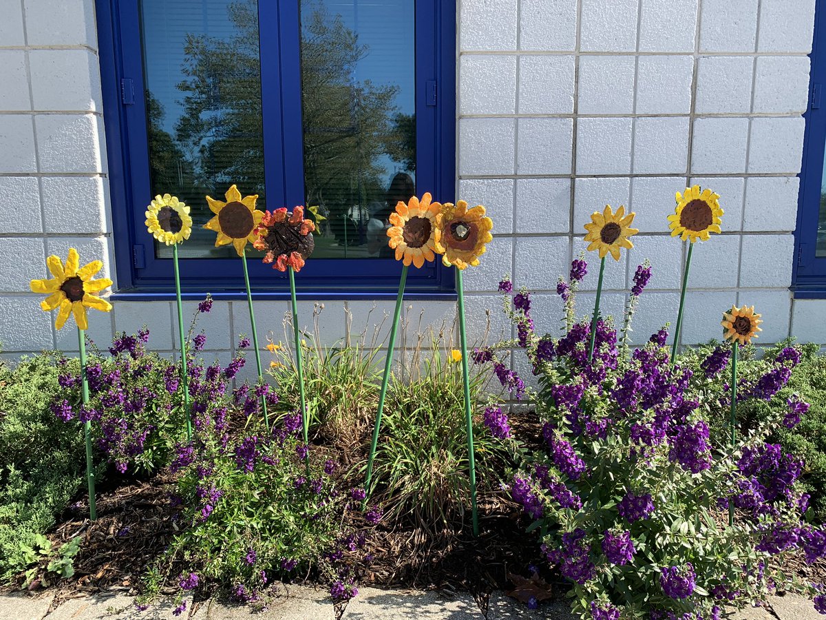 HarborfieldsArt's tweet photo. Mrs. Riekert’s sculpture class created beautiful sunflowers for the front of the school. @HarborfieldsArt @HarborfieldsCSD @HarborfieldsHS https://t.co/ieqw2VQmFp