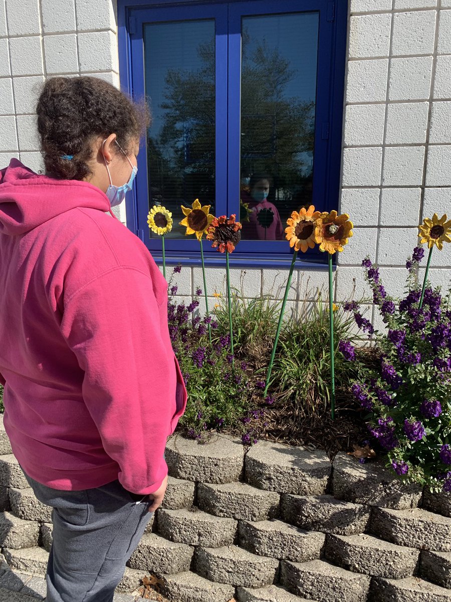 HarborfieldsArt's tweet photo. Mrs. Riekert’s sculpture class created beautiful sunflowers for the front of the school. @HarborfieldsArt @HarborfieldsCSD @HarborfieldsHS https://t.co/ieqw2VQmFp