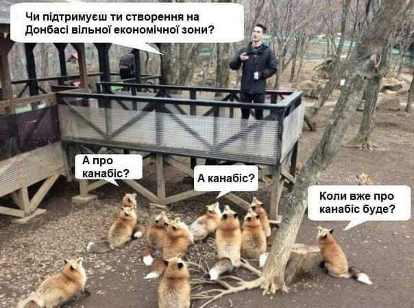 В Украине "день тишины", агитация запрещена - Цензор.НЕТ 6114