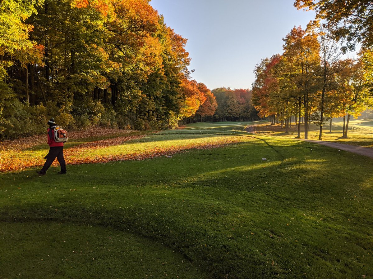 tp_ty's tweet photo. Gotta love fall golf. Sure does look pretty... but it makes one hell of a mess! @westhavengolf #fallgolf #fall #fallcleanup https://t.co/ih21V34RPo