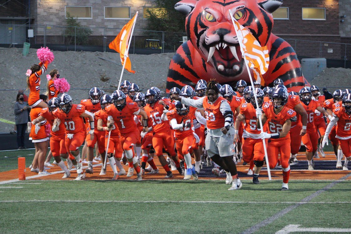 brighton bengals football