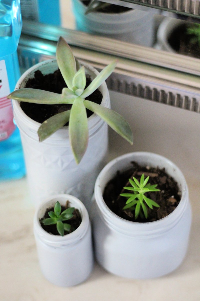gingercasa1's tweet photo. #AD

Moms! Are you taking care of yourself and doing what you love? Check out my love: succulents! Learn how I made these adorable painted mason jar succulent planters and stock up on @Listerine products at @Walmart!

https://t.co/4fEkXcmmn2

#CleanHealthyBold https://t.co/QNvvbux7tr
