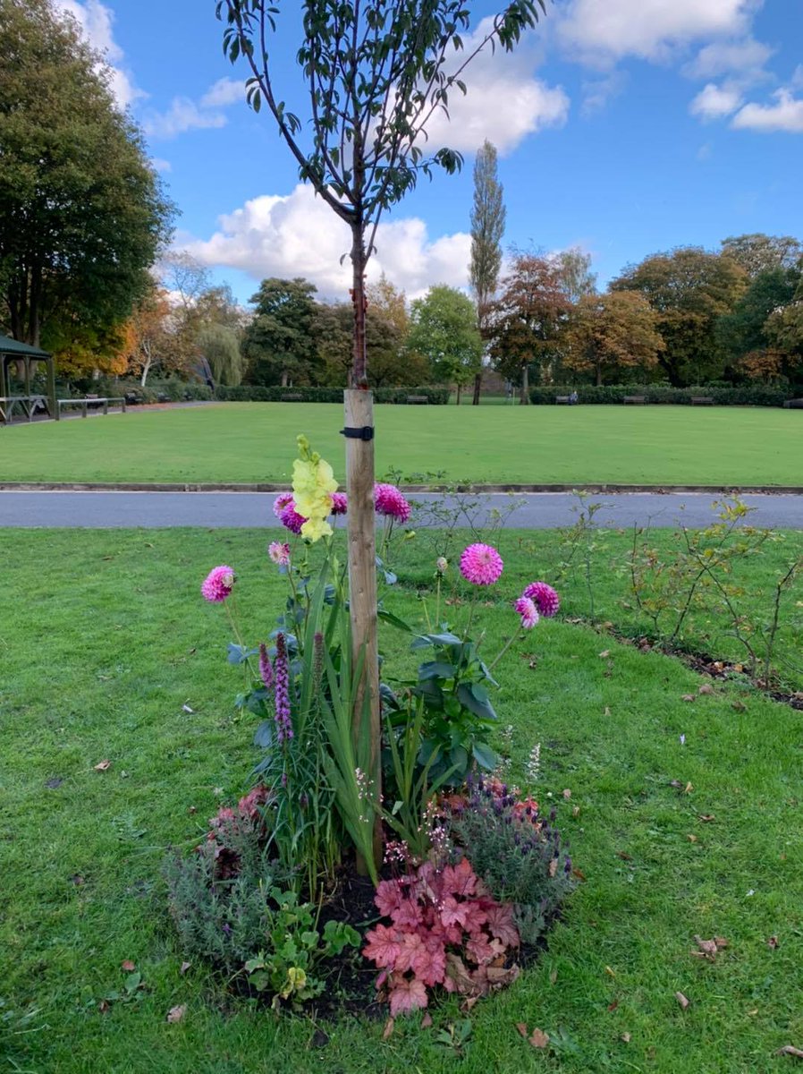 RochdaleCouncil's tweet photo. How beautiful does the reflection garden look at Queen’s Park achieved through funding from support group @Together4Angels with beech trees planted and labour help from us. Many will light candles at 7pm tonight to honour every little life lost too soon #waveoflight2020 💙💟 https://t.co/qvMXFgKqVI