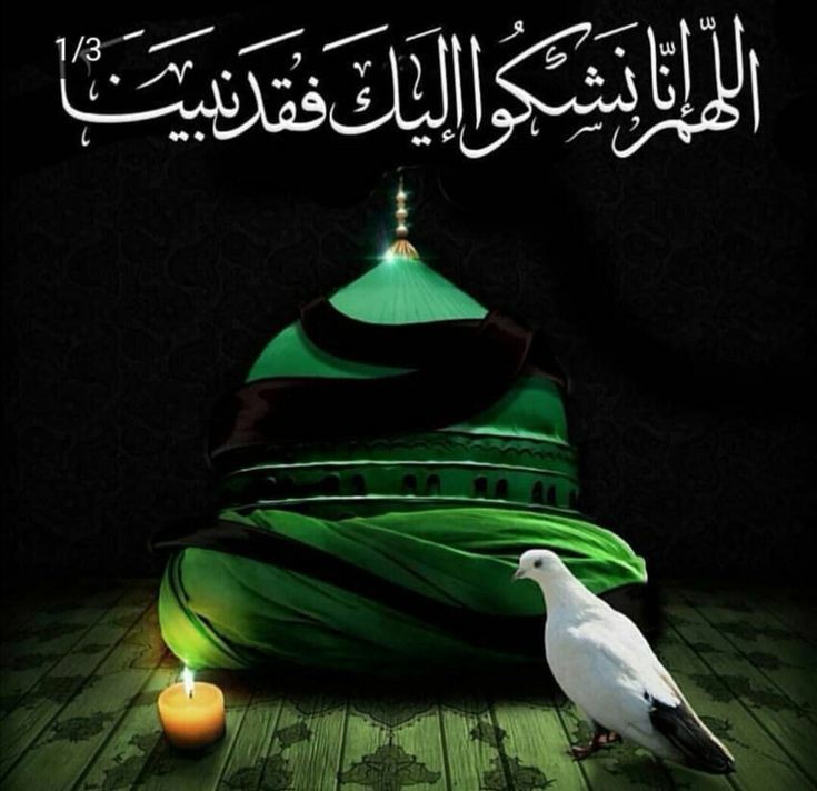 Nezar hussain (@nezar_aman) on Twitter photo 
