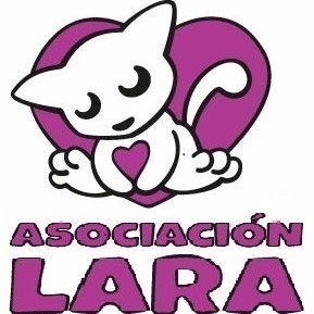 amaregar's tweet photo. Que gran labor hacéis en la @ProtectoraLARA
Vuestro apoyo es fundamental
Hay much@s gat@s que desean un hogar
Si queréis ayudar
#AdoptaGat@s
#LAinacciónNOesUNAopción
asociaciónlara@asociacióhttps://t.co/fEp97l5qfN https://t.co/QzlBmLGxWG