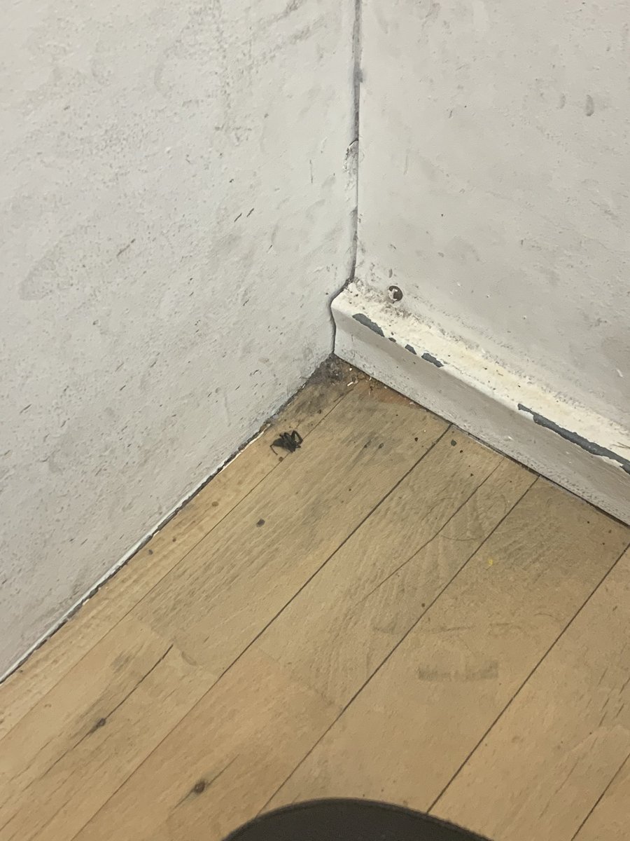 lynsey_rowe's tweet photo. @EveryoneActive the irony of this... when your gym looks like this.. ➡️➡️🤢 https://t.co/YabiNWVQhD