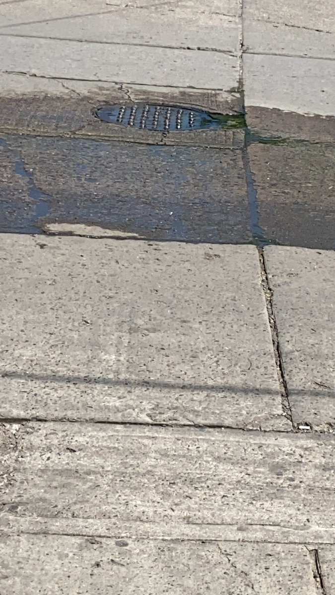 Acelitotirado's tweet photo. @JUMAPAM desde hace un poco más de 5 meses corre el agua hasta la Juan Carrasco los vecinos de la calle Esteban flores no saben a donde más reportarla ... https://t.co/pvjG35O3BM