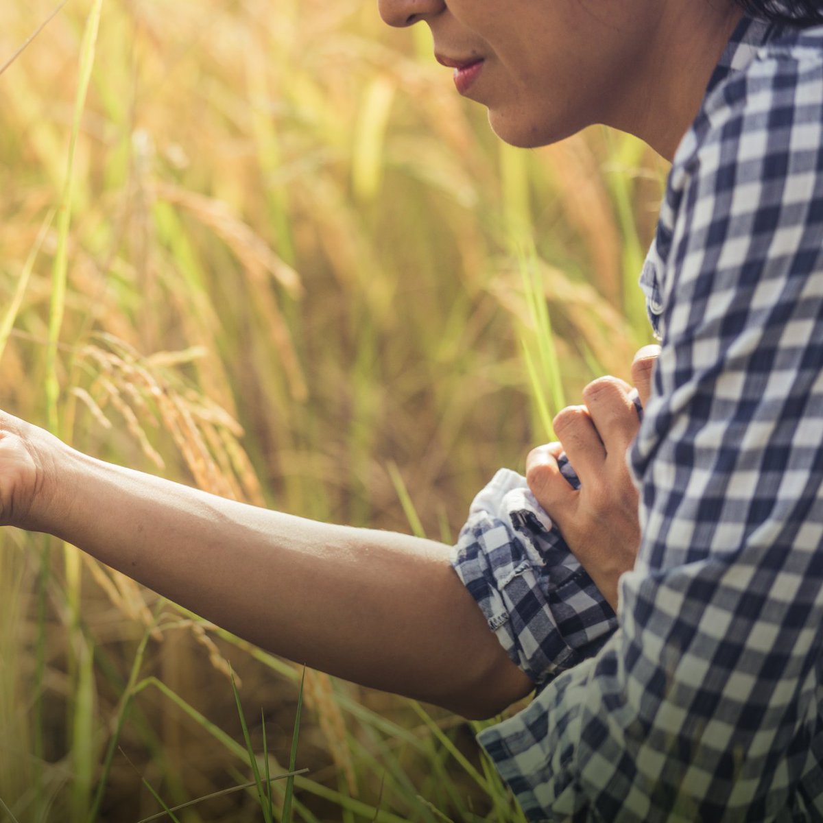 15 de Octubre: Día de la Mujeres Rurales

Desde D&amp;P Agro queremos destacar y reconocer el enorme trabajo, esfuerzo y contribución que llevan a cabo día a día