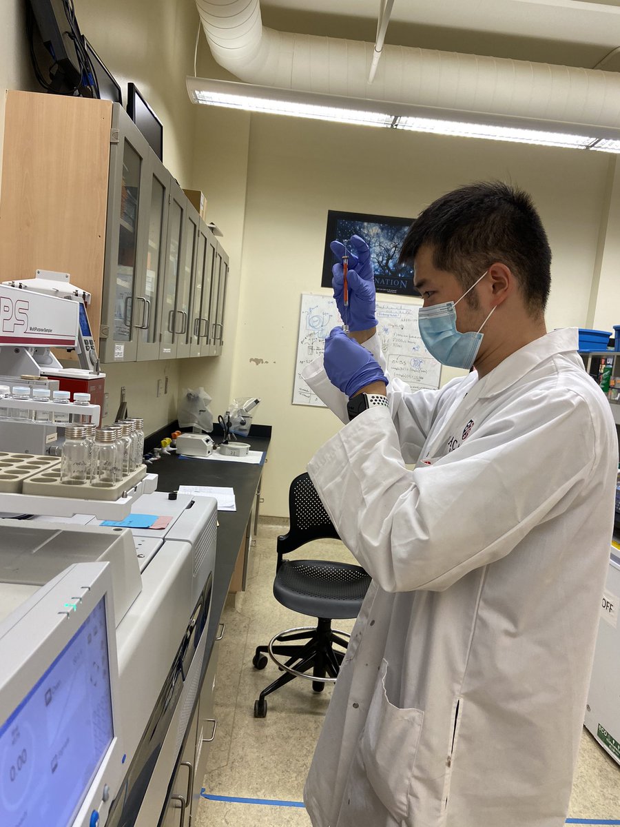 nicofaraone's tweet photo. Honors student @vinc726 ready for a GC-MS injection of basil EO for a very exciting project! It is important for our students to be hands on their projects! @AcadiaChemistry @AcadiaU @KirkHillier @HillierLab https://t.co/5JSs5BkhY7