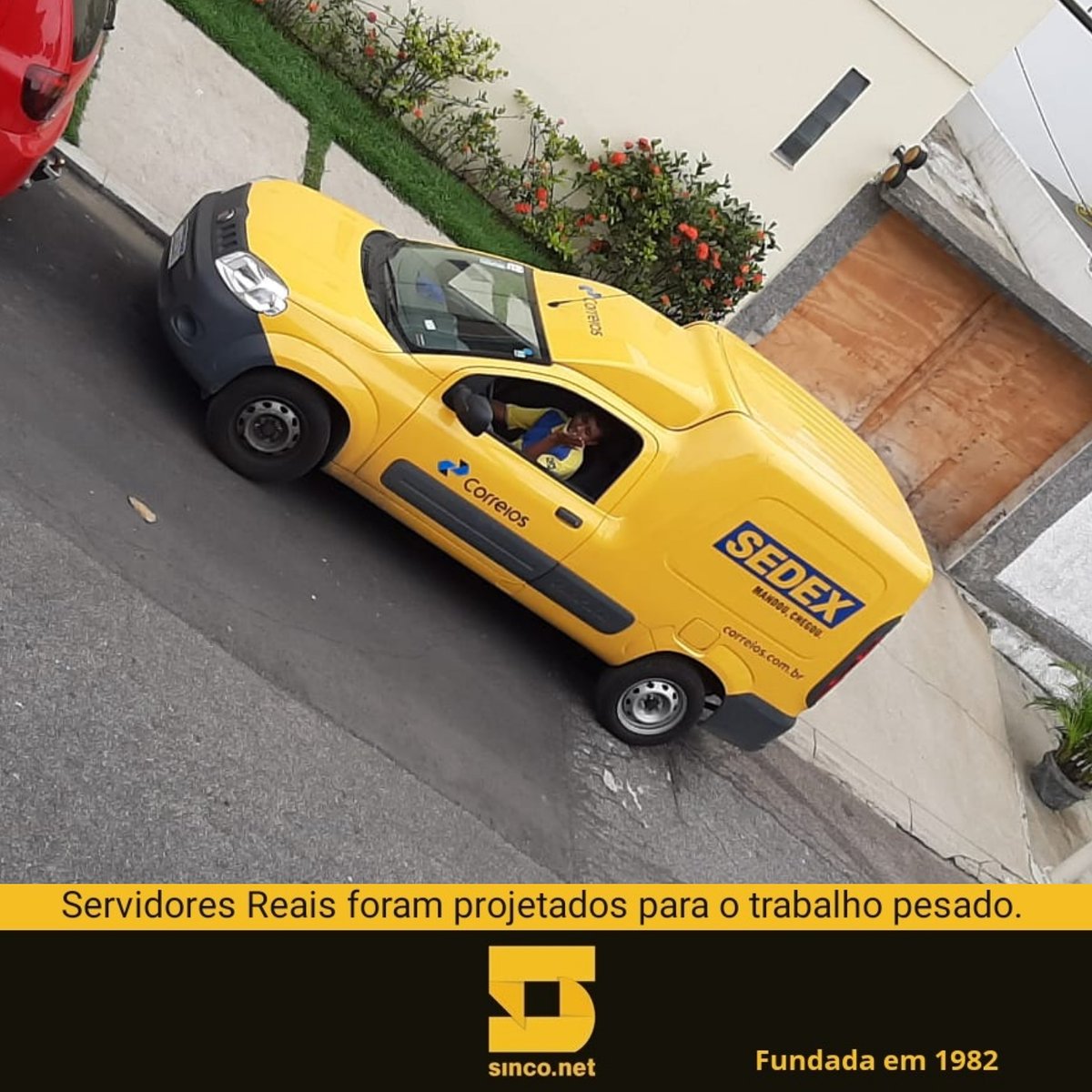 Sinco_Brasil's tweet photo. #PartiuRS ! Aquele #upgrade #urgente pra animar seu #Servidor em #Pelotas ... Acabou de por o #penaestrada

Aqui construímos #Servidores Reais!
https://t.co/yRG1DYNwcu

#Sinco #38anos #Tradição #Desde1982 #Intel #Xeon #IamIntel #Kingston #Seagate #Crucial #Nilko https://t.co/NIRCE3Ya64