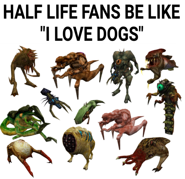 Race X Half Life