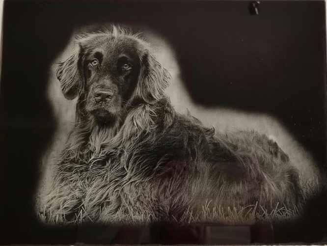 dedhamcentre's tweet photo. Unique Laser Art can transform a favourite photo onto slate or even glass. They love working on commission. 
#crafts #pet #pets #laserart #unique #dedhamartandcraftcentre #uniquelaserart
https://t.co/N3wmFldjKL https://t.co/Et5Tnu7dGE
